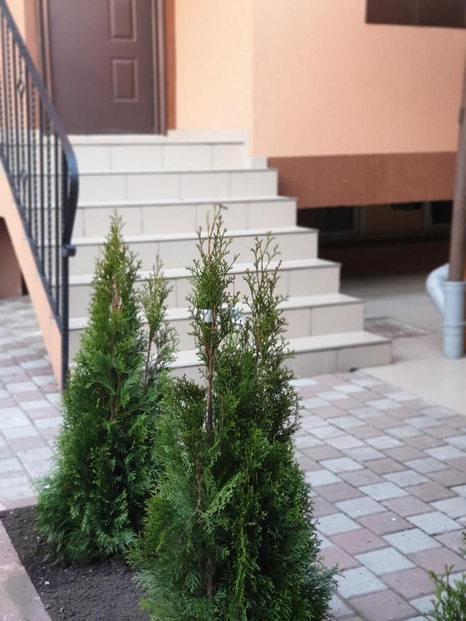 Villa Accommodation Bukares Bagian luar foto